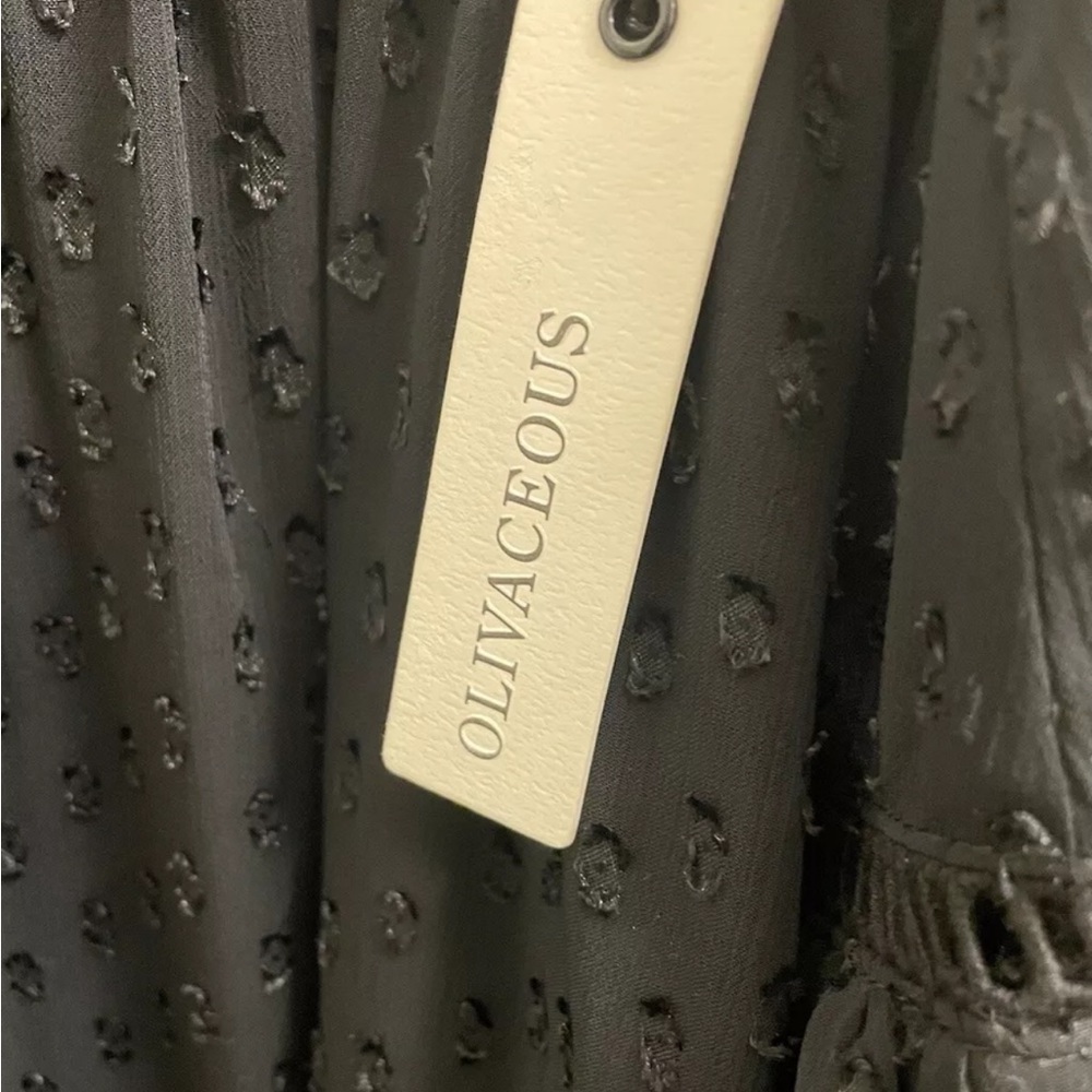 Oliviaceous Black Sheer Boho Flowy dress Embroidered Details - Picture 4 of 5